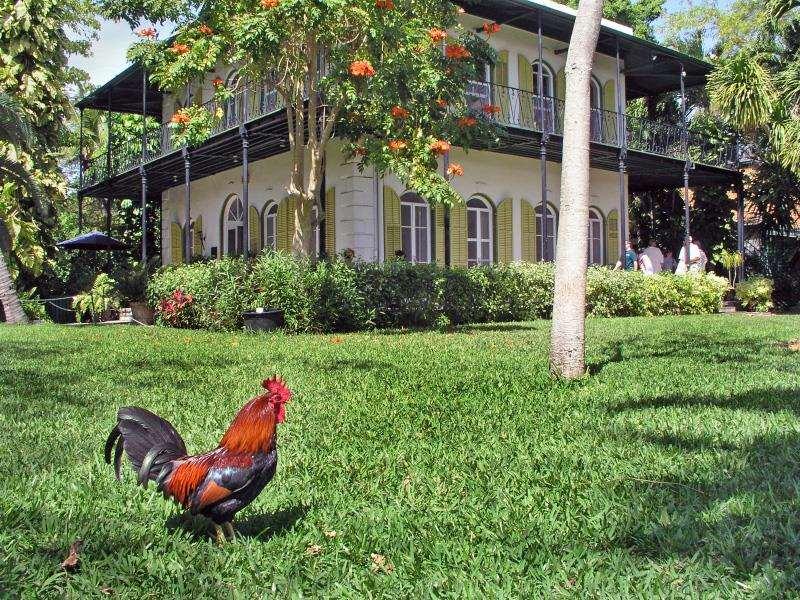Resort Doubletree By Hilton Grand Key Key West