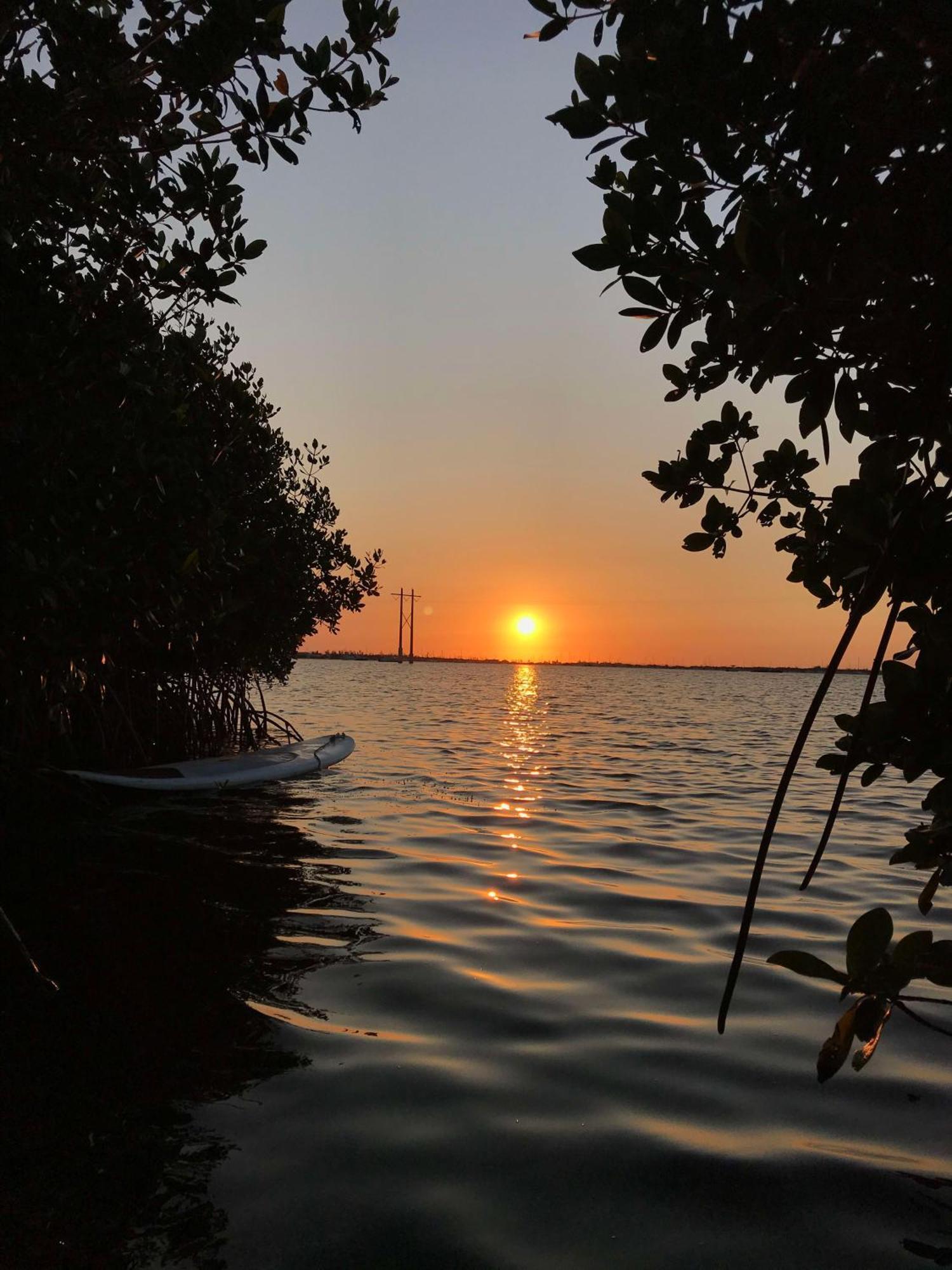 Castaway Cove 8 By Brightwild Key West