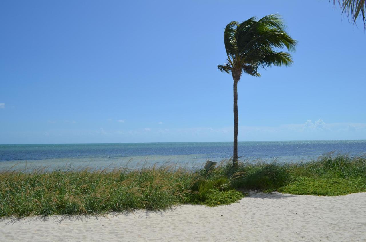 Poolside Breeze Retreat Apartment Key West