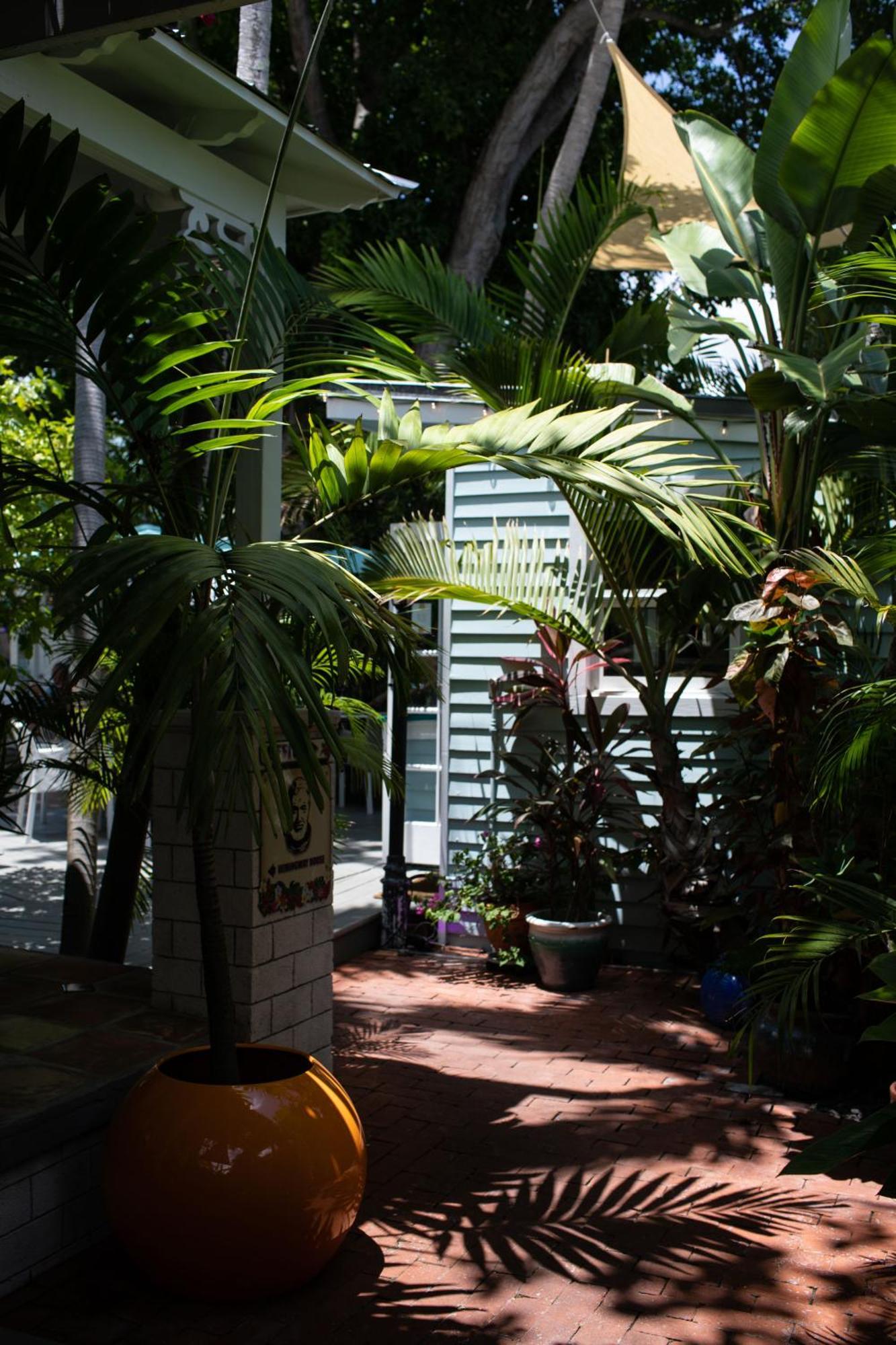 Andrews & Garden