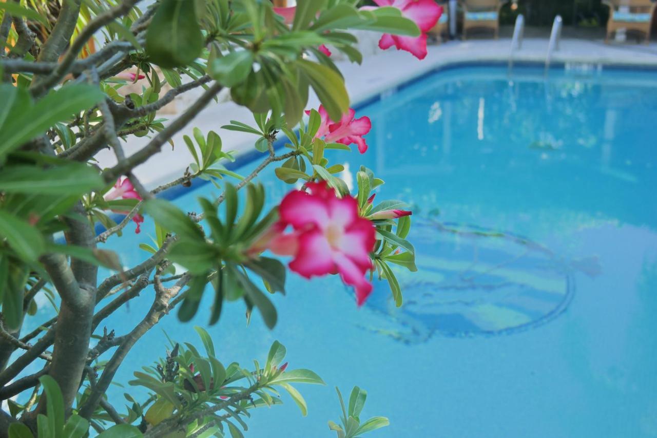 Guest house Heron House (adults Only) Key West