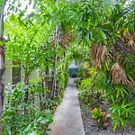 African Queen - Harbor Walk Hideaways