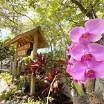 The Southern Cross Tropical Village