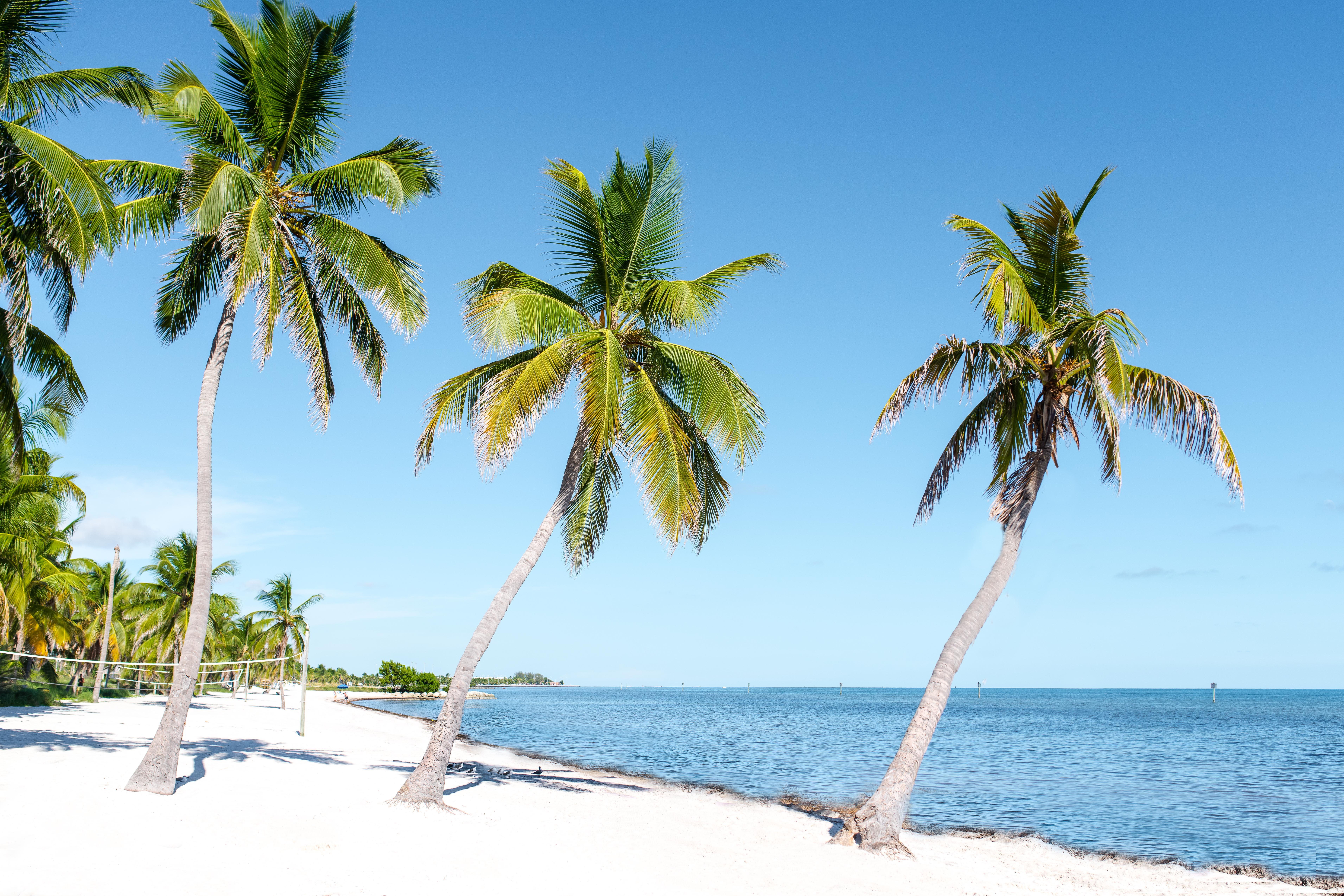 Resort Parrot Key & 4*