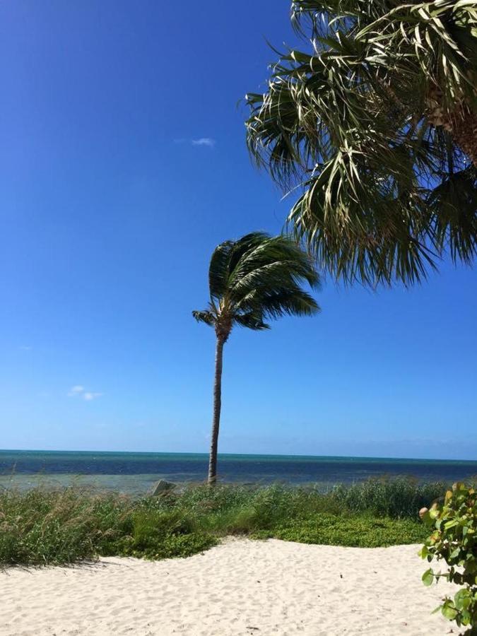 Apartment Paradise Found