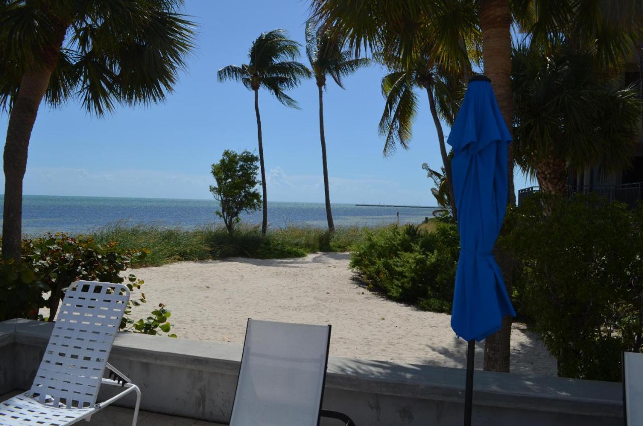 Apartment Paradise Found