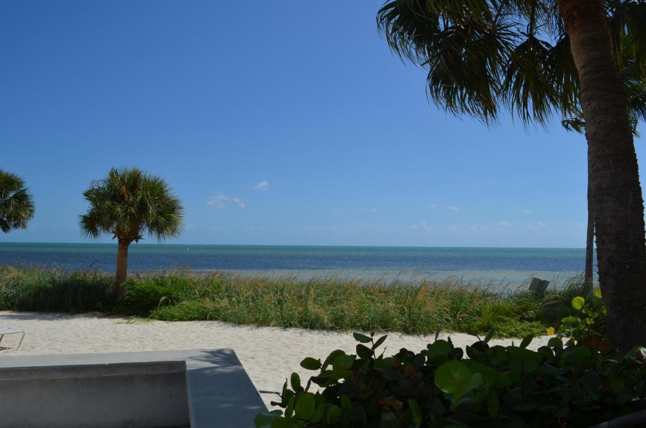 Paradise Found Apartment Key West