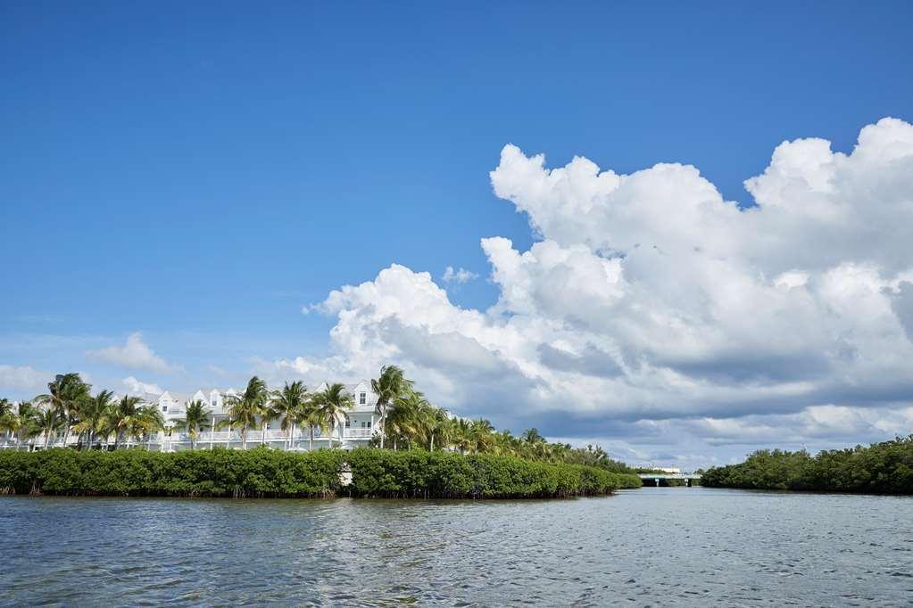Parrot Key &