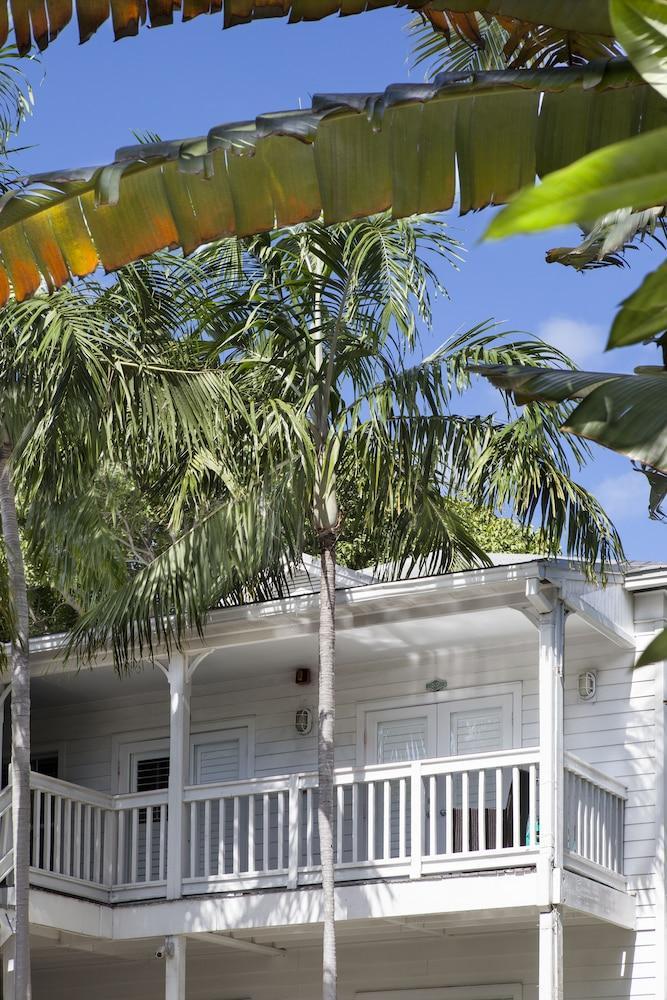 Paradise (adults Only) Key West