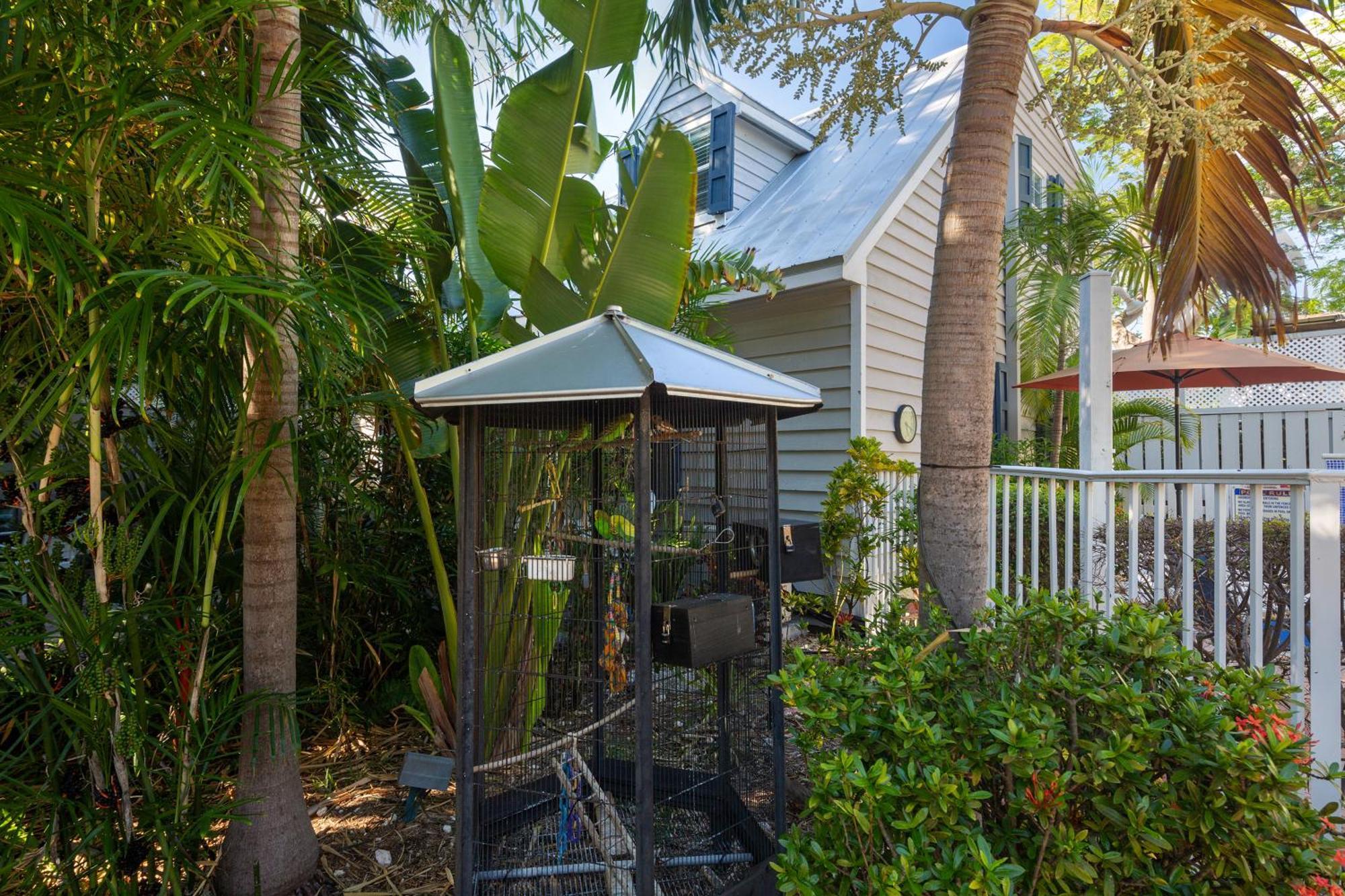 Old Town Garden - Andros * Key West