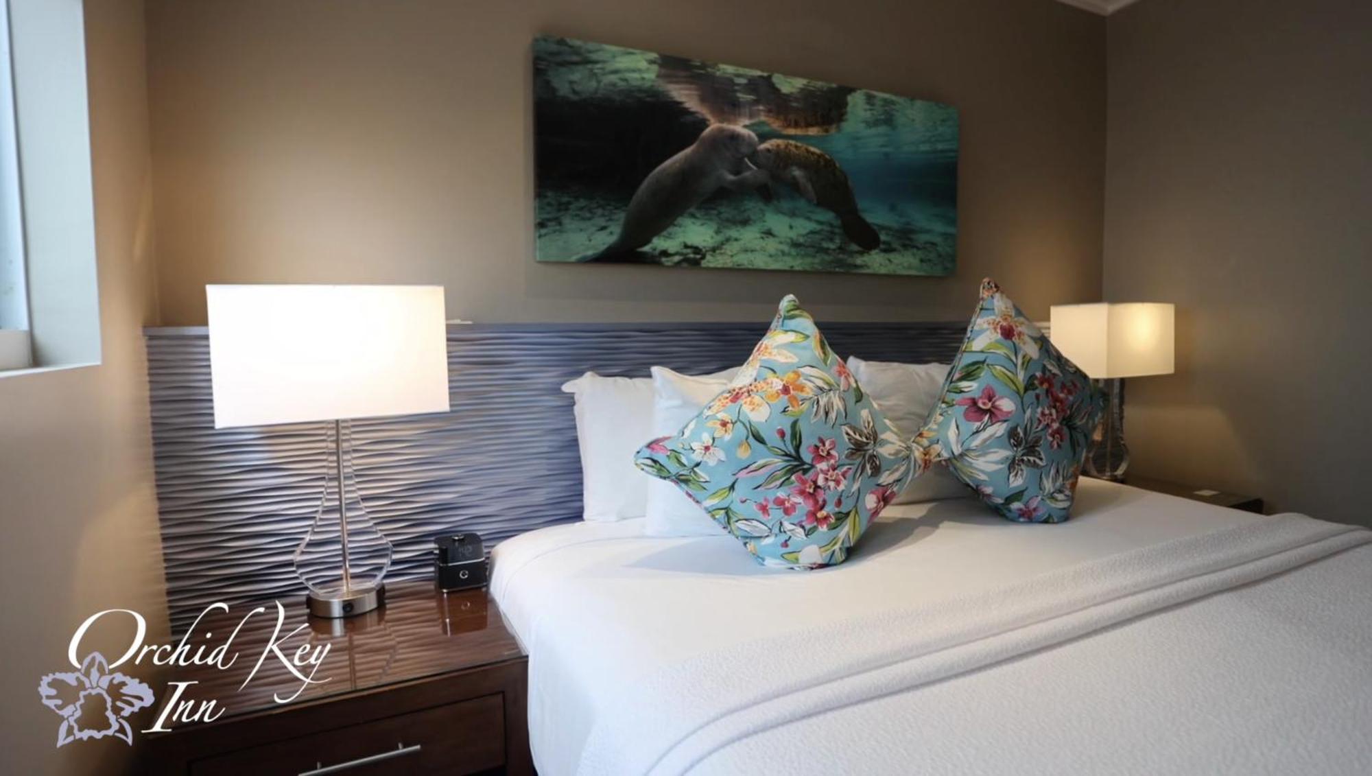 Hotel Orchid Key - Adults Only Key West