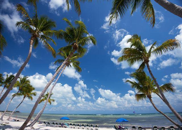 Ocean View *
