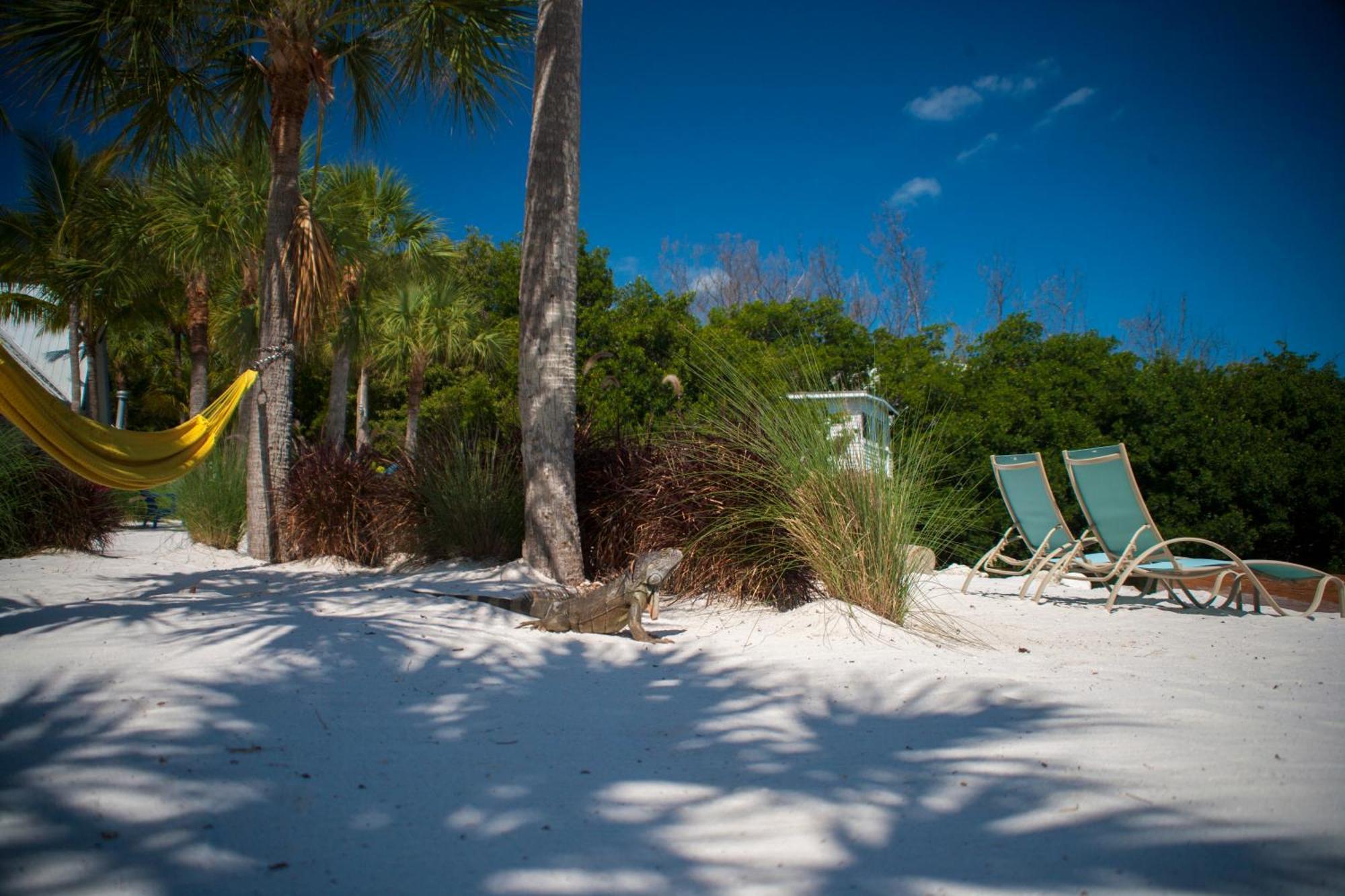 Ibis Bay Resort Key West