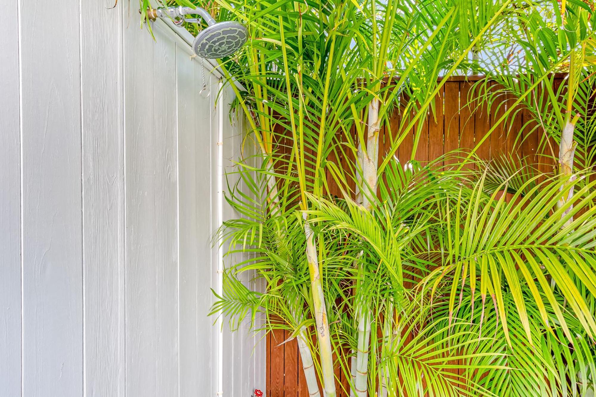 Tropical Vibes Holiday home
