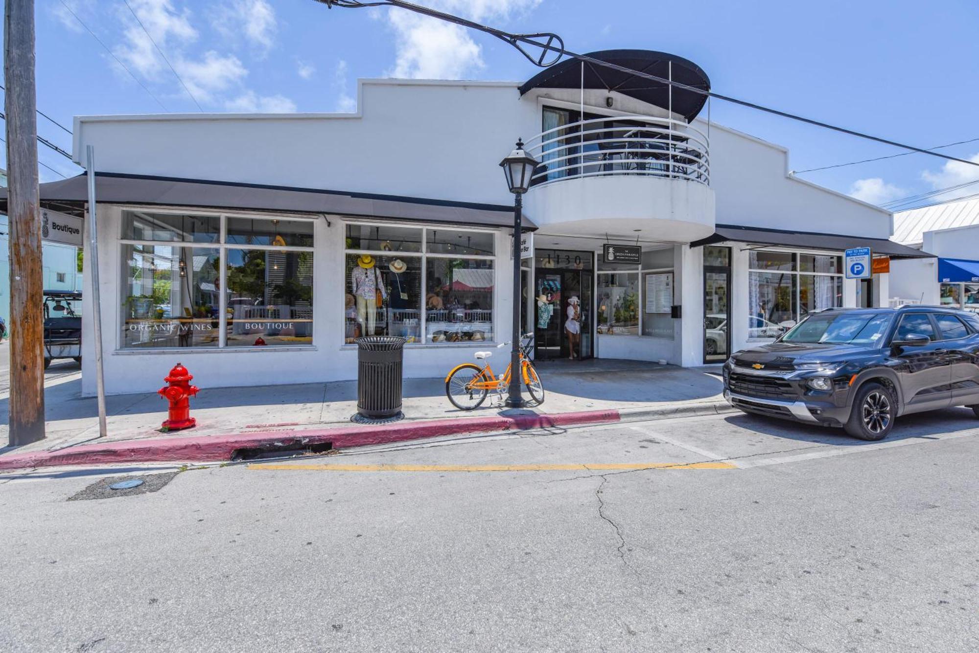 New Pineapple Palloza - Bright & Modern On Duval