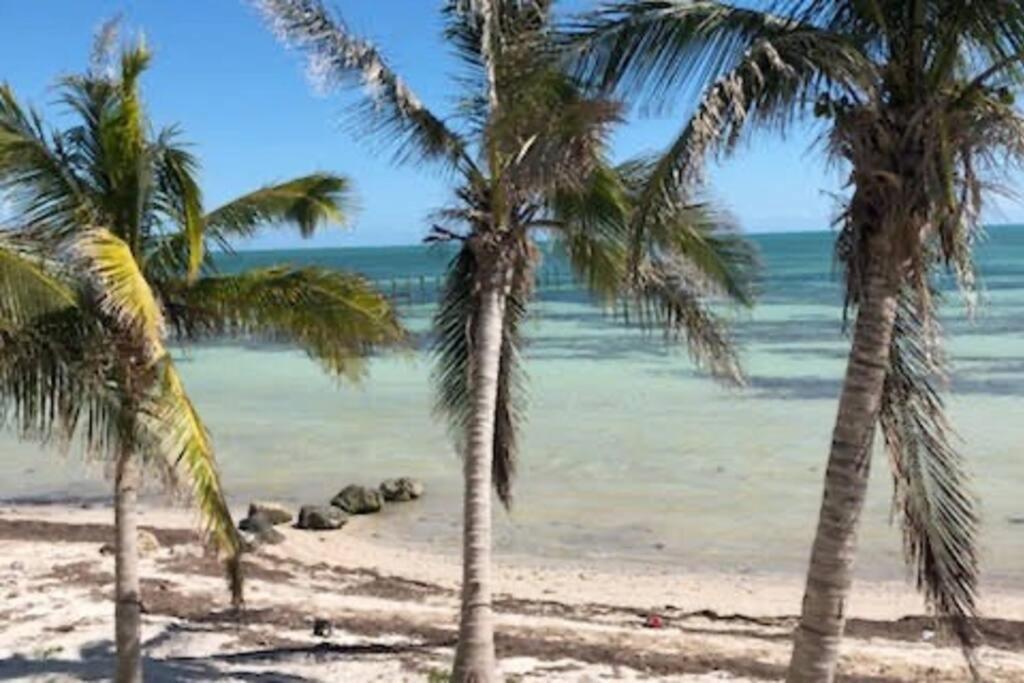 - Azucar Key West