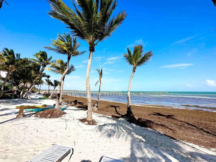 Holiday home - Azucar