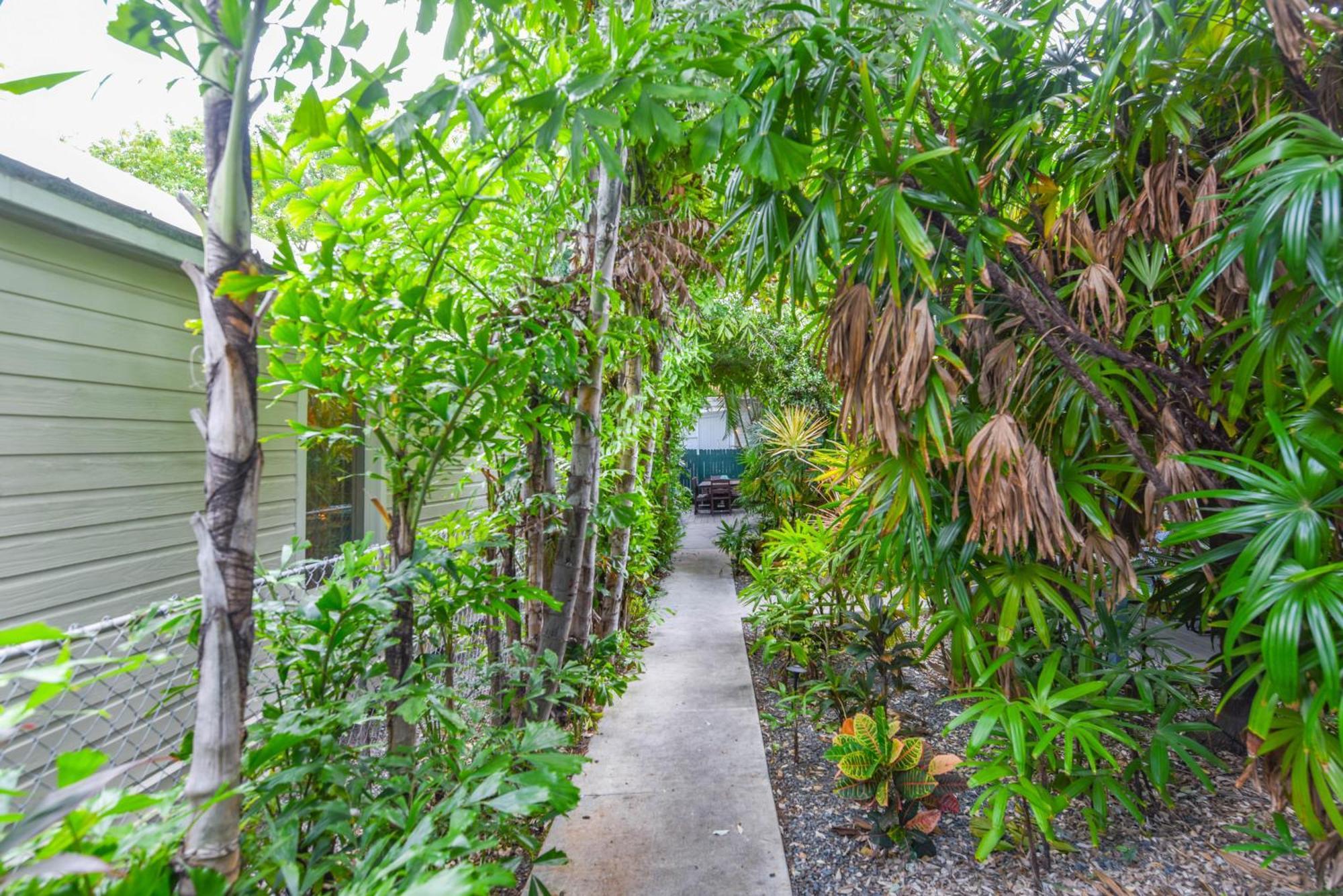 African Queen - Harbor Walk Hideaways Apartment