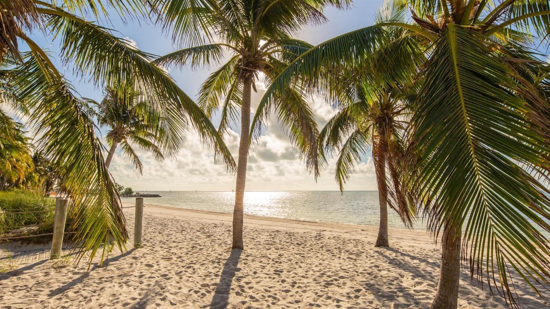 Conch In The Treetops By Last Key Realty * Key West