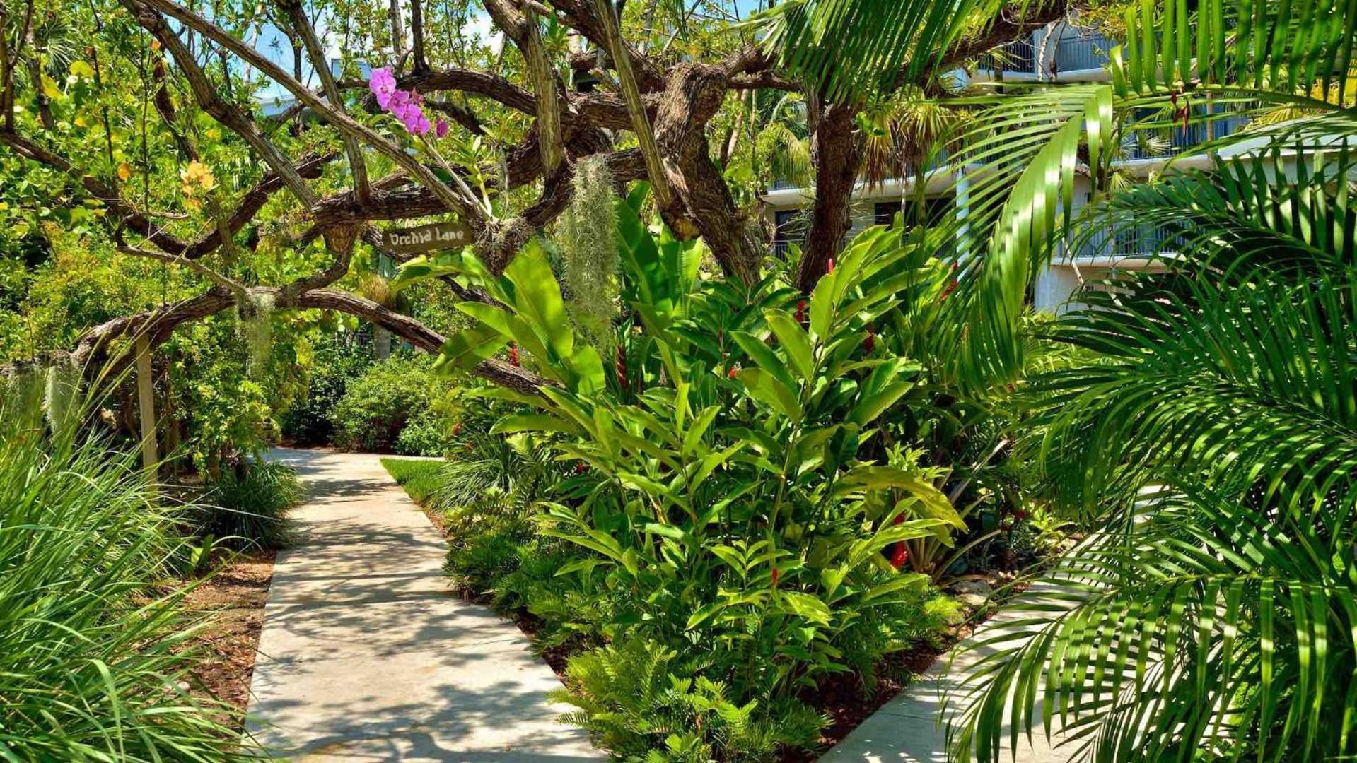 Holiday home Conch In The Treetops By Last Key Realty