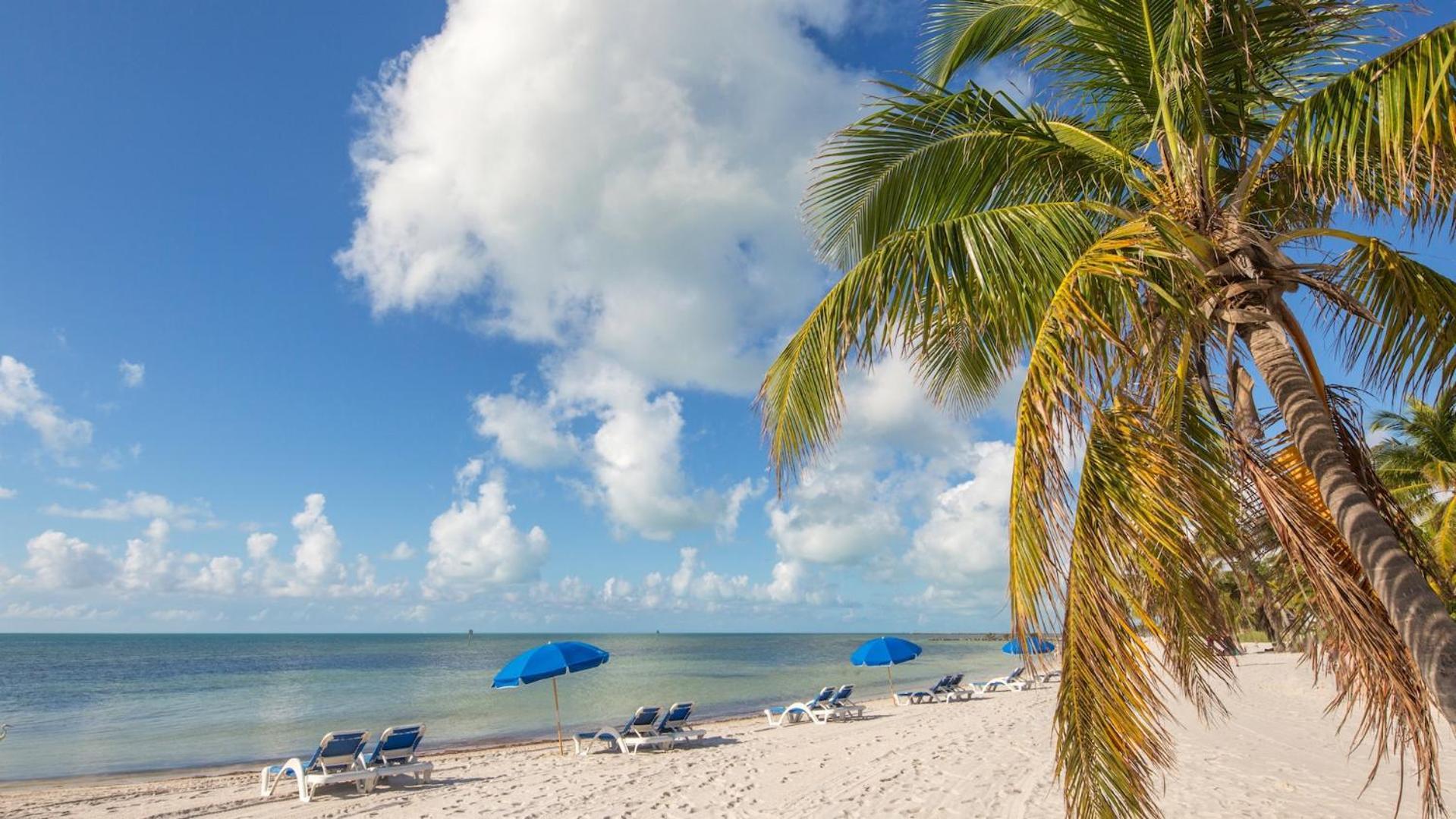 Sundrenched Reflections By Last Key Realty Key West