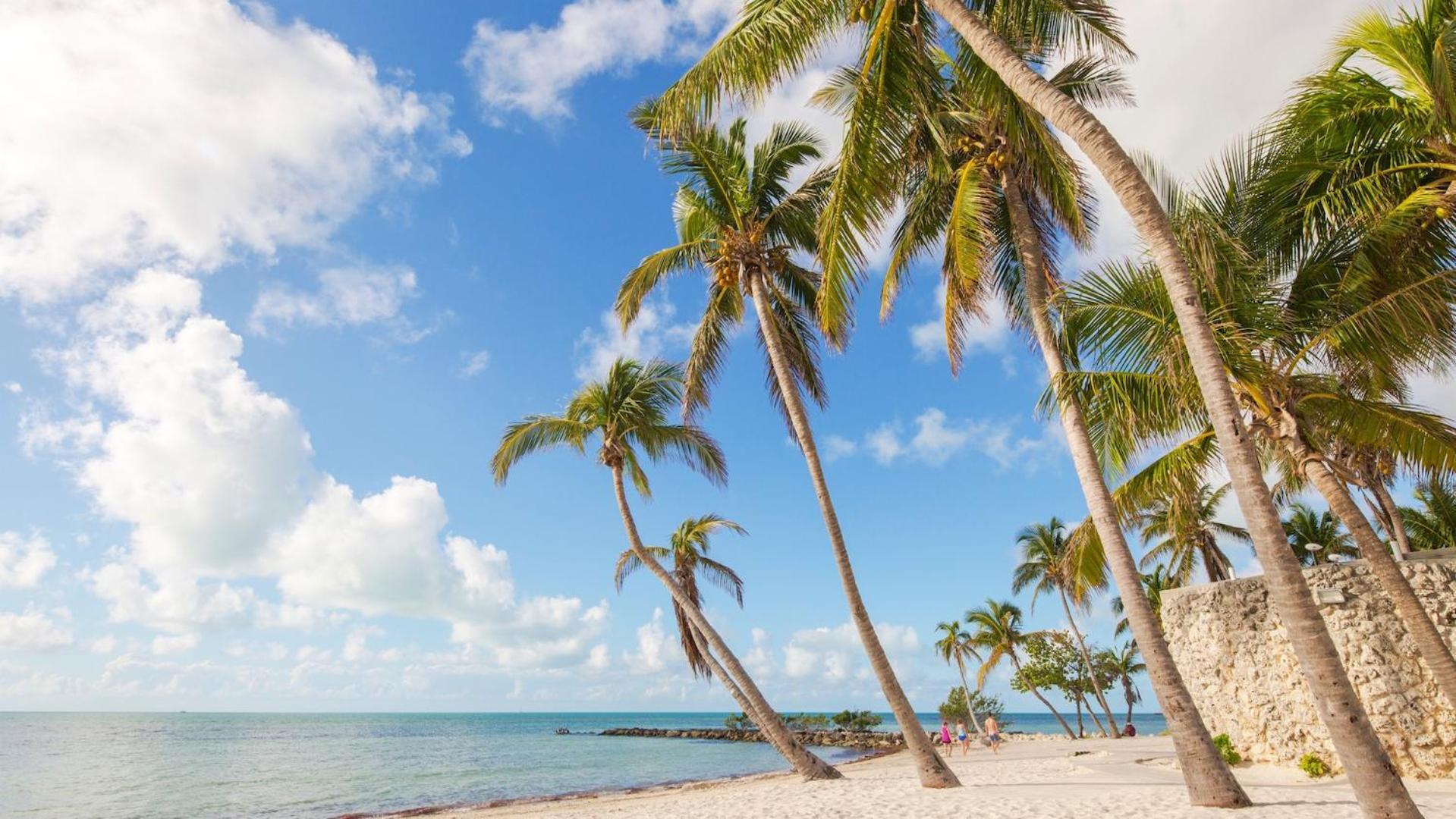 Sundrenched Reflections By Last Key Realty Key West