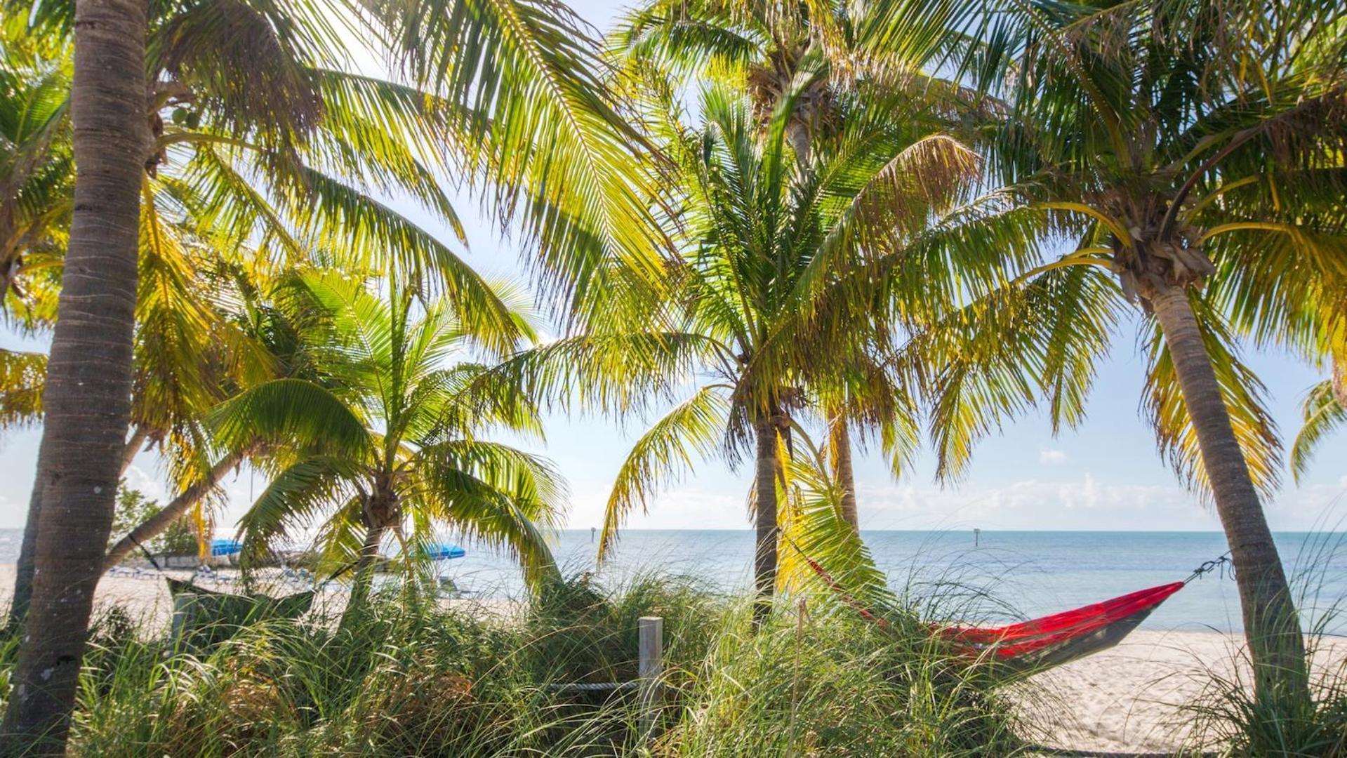 Sundrenched Reflections By Last Key Realty Apartment Key West