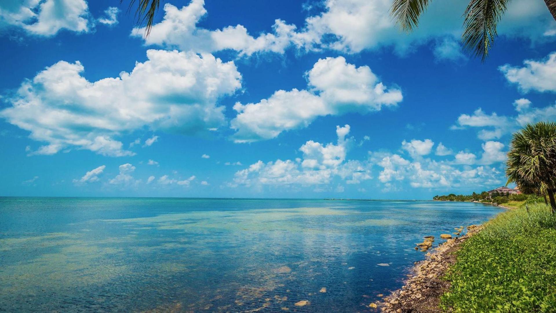 Conch In The Treetops By Last Key Realty Holiday home Key West