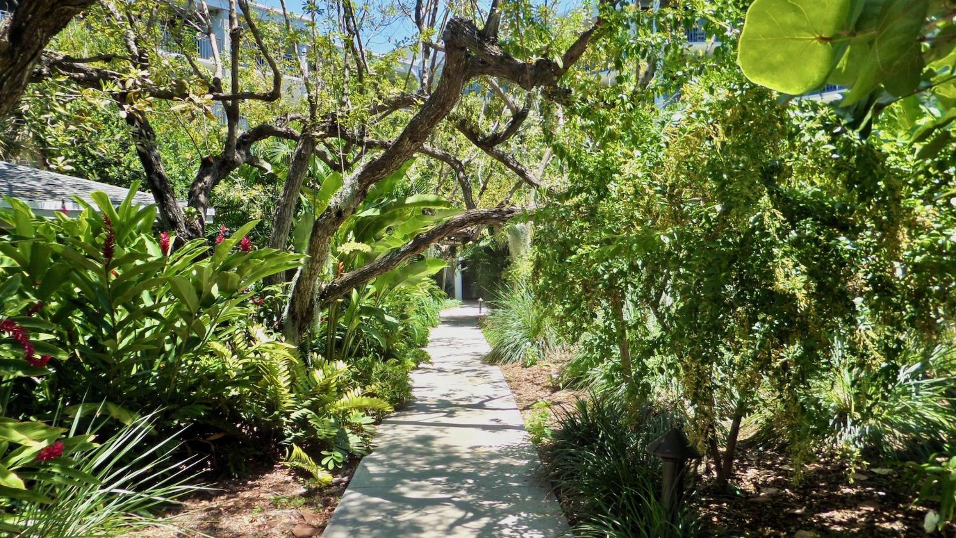 Conch In The Treetops By Last Key Realty * Key West