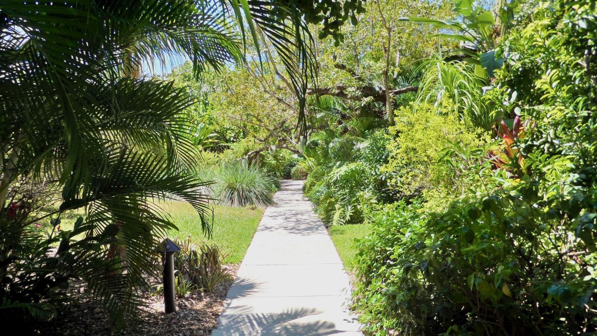 Conch In The Treetops By Last Key Realty Holiday home *