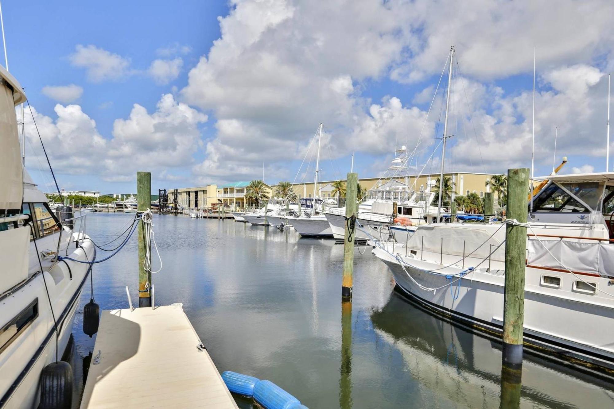 Lavender Jungle By Avantstay Great Location W Patio Shared Pool Week Long Only Holiday home