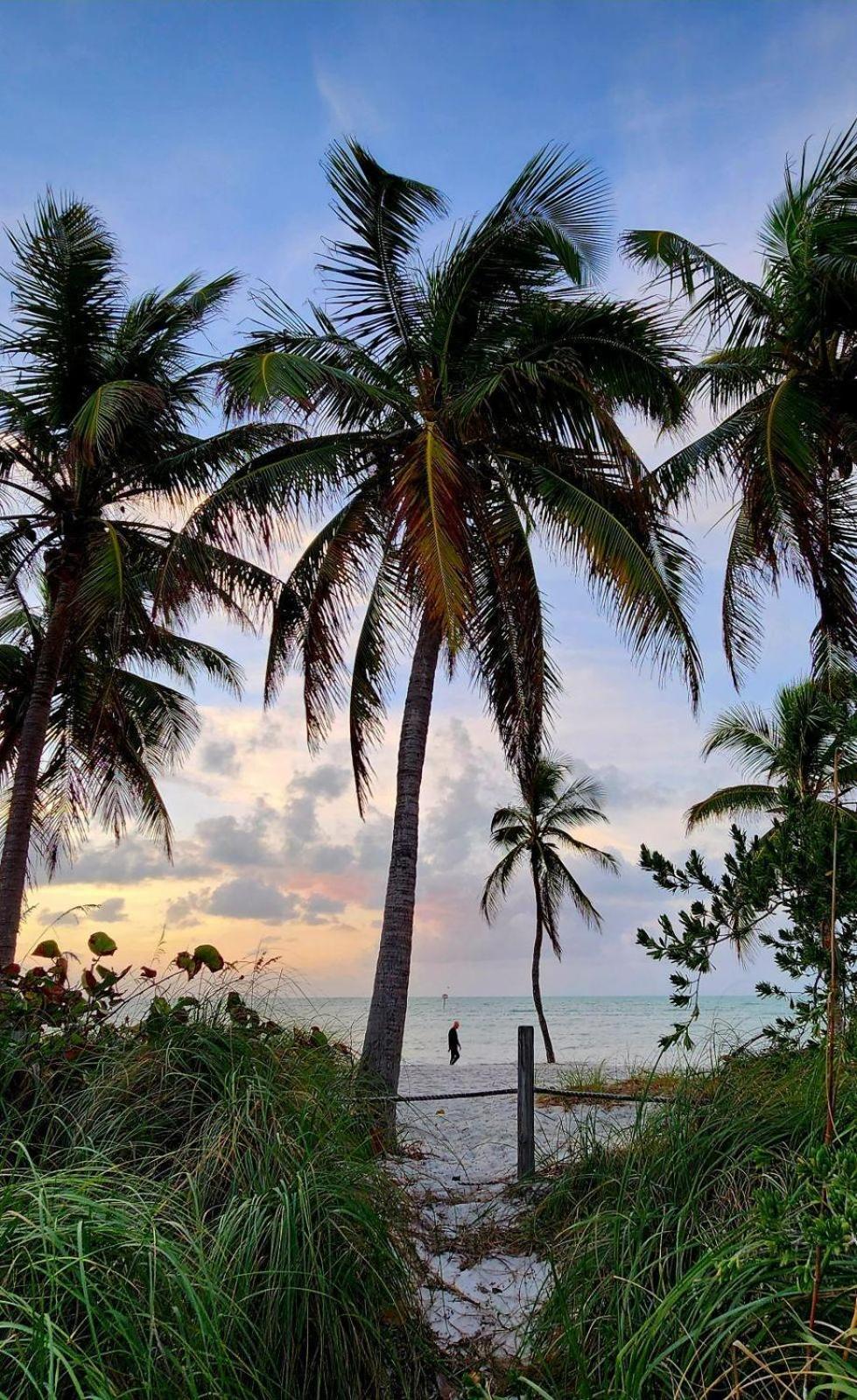 Atlantic Paradise Escape *