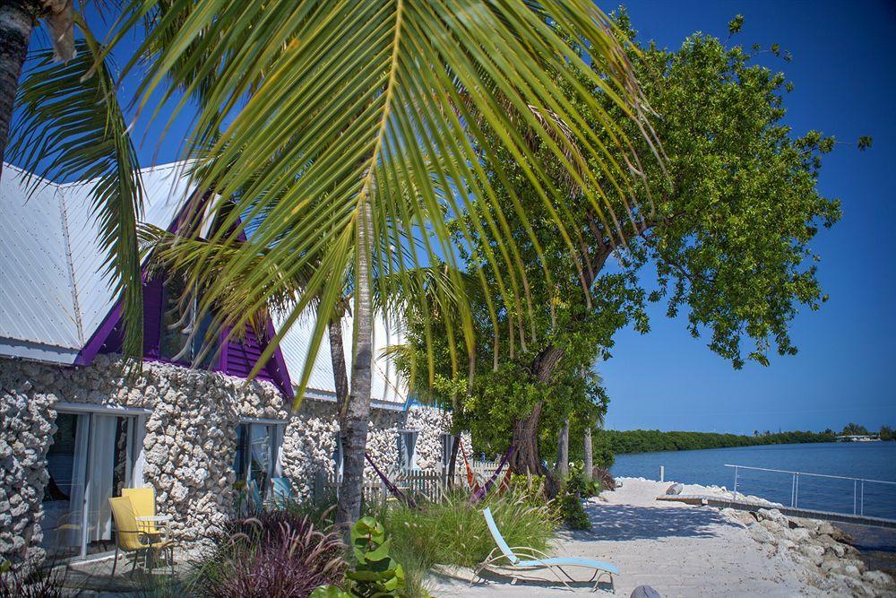 Ibis Bay