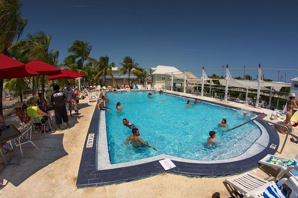 Ibis Bay