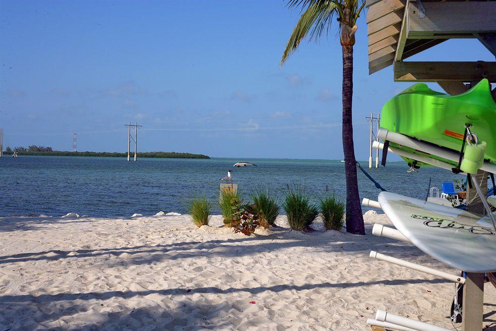 Ibis Bay