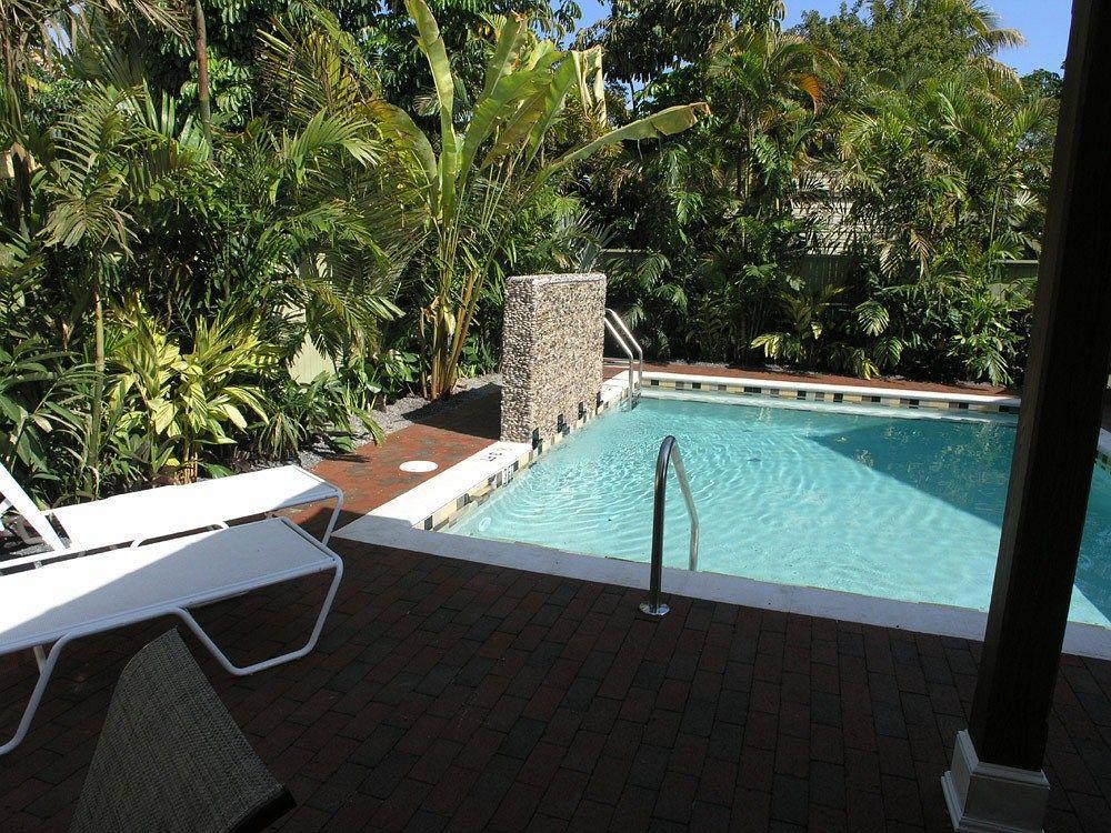 Travelers Palm 2*