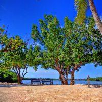 Ibis Bay 3* Key West