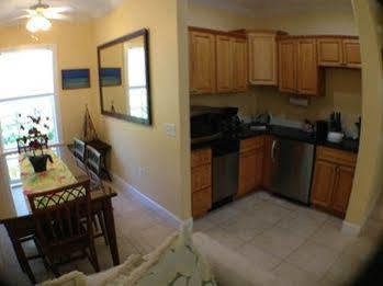 Travelers Palm 2*