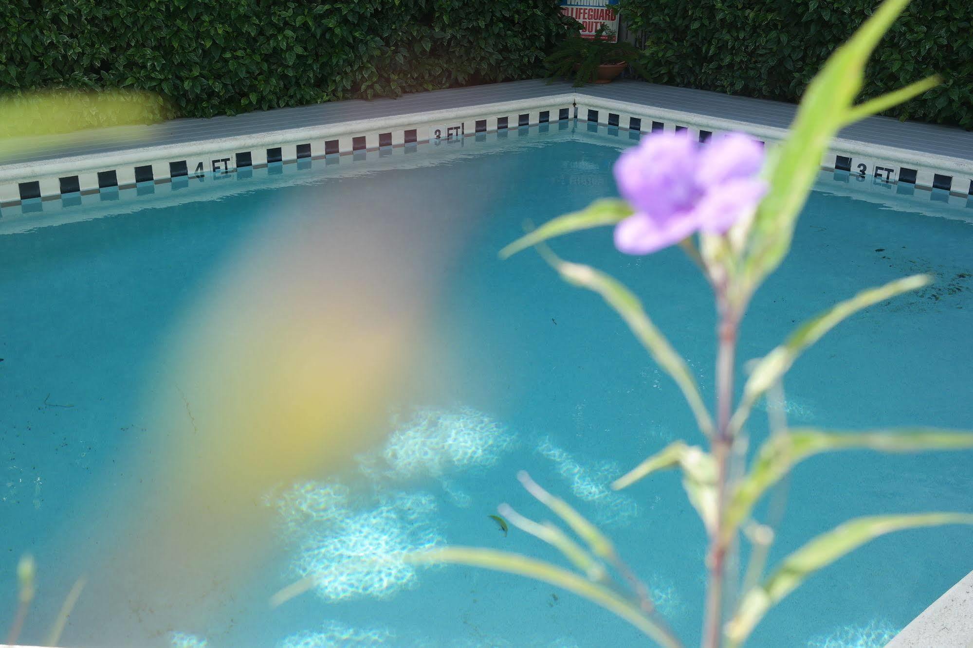 Heron House Court (adults Only) Key West