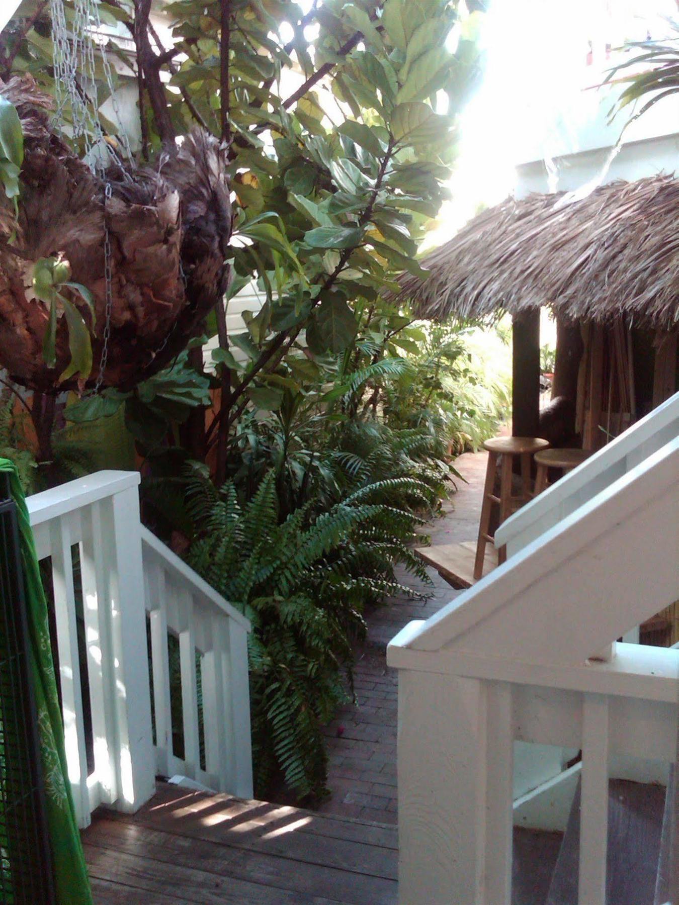 Smallest Bar 3* Key West
