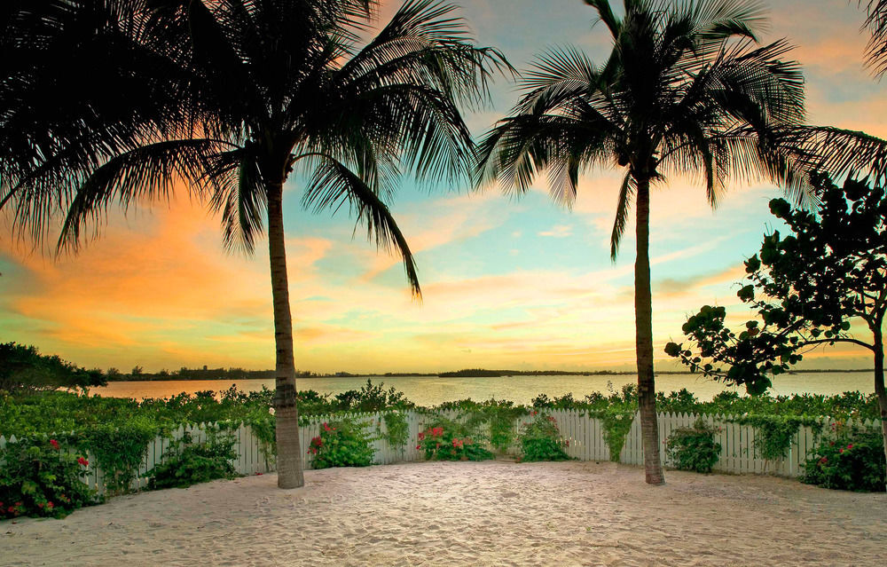 Parrot Key & 4*
