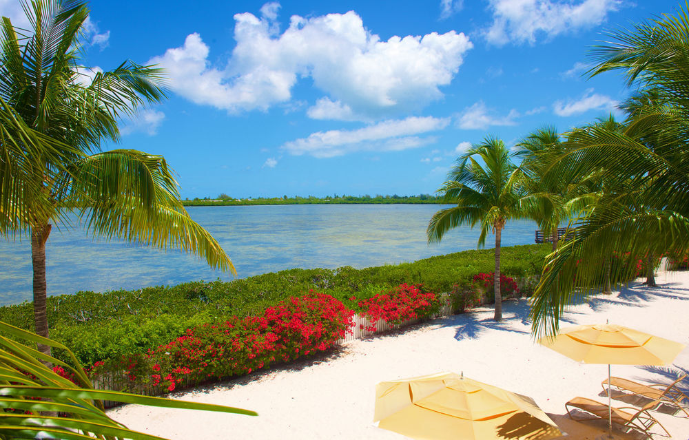 Parrot Key & Key West