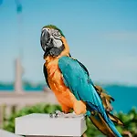Hyatt Centric Key West Resort & Spa