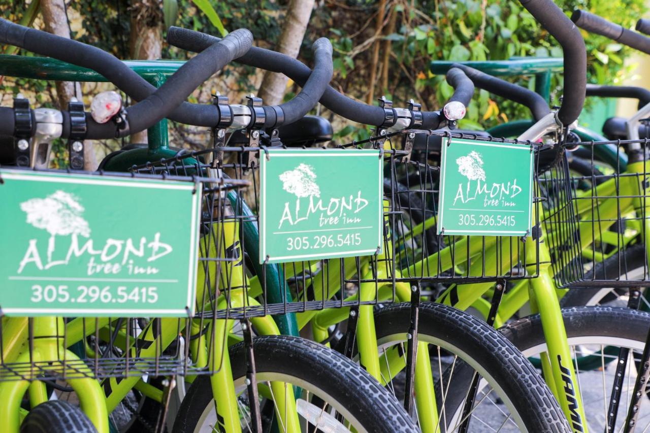 Hotel Almond Tree - Adults Only