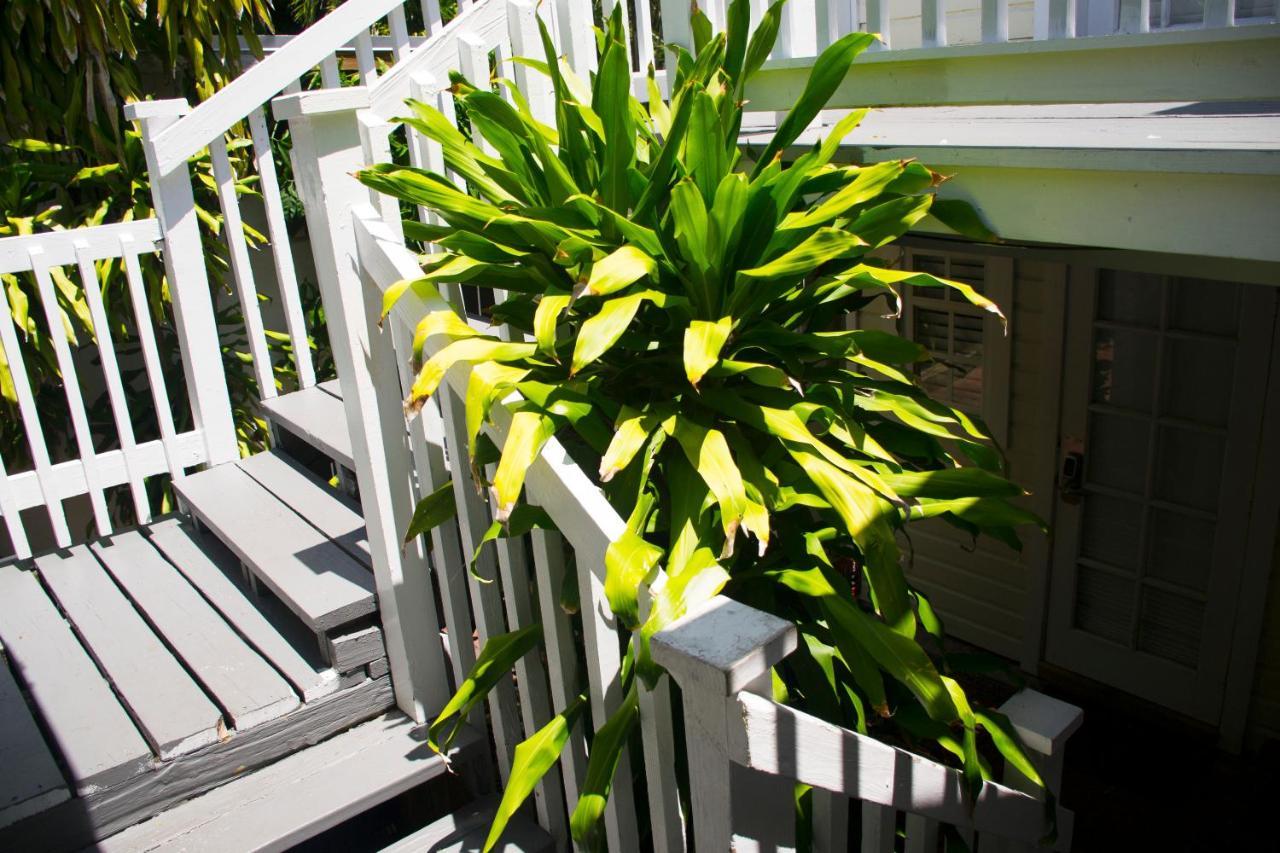 Guest house The Garden House 2*