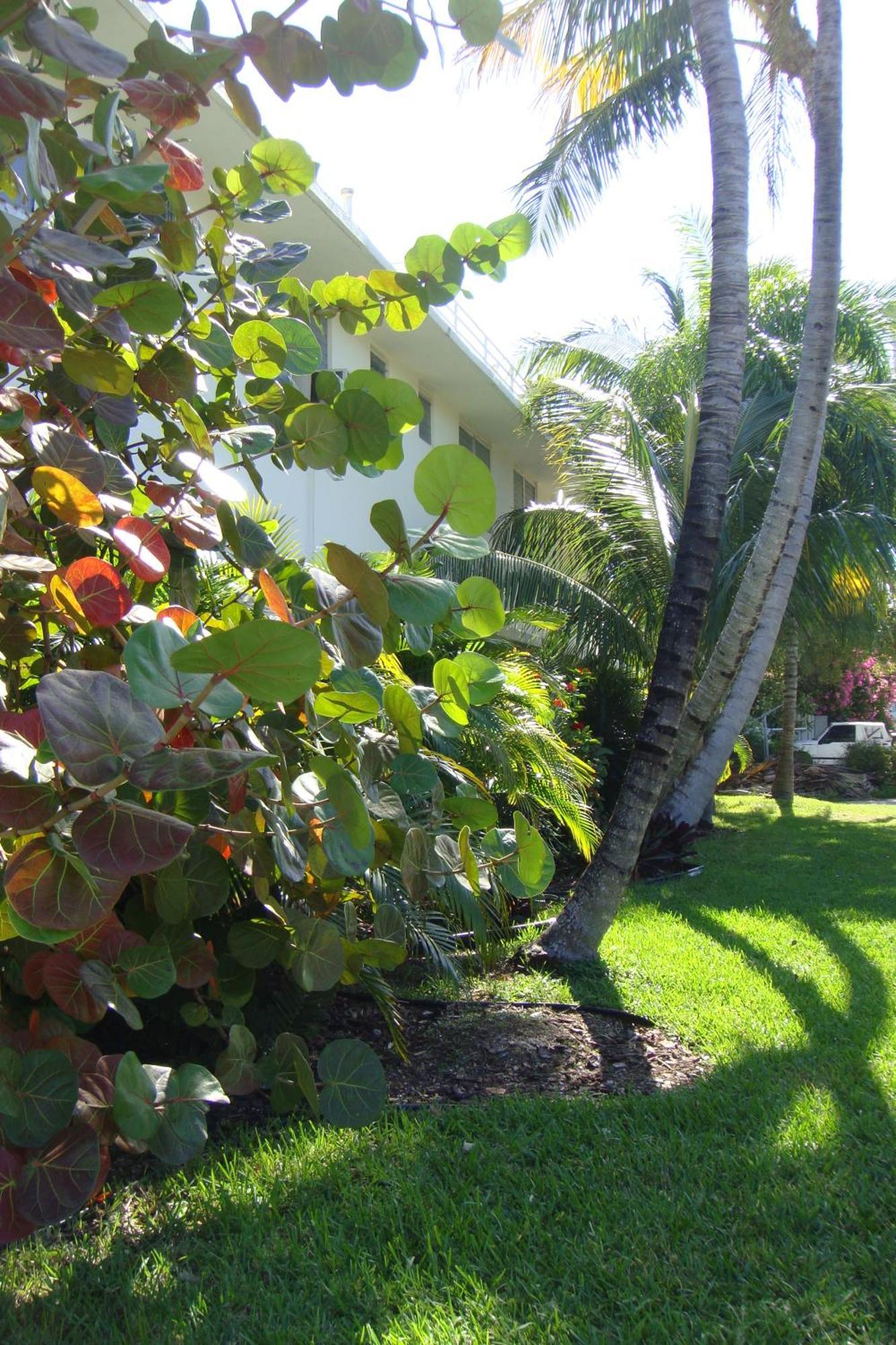 El Patio 2* Key West
