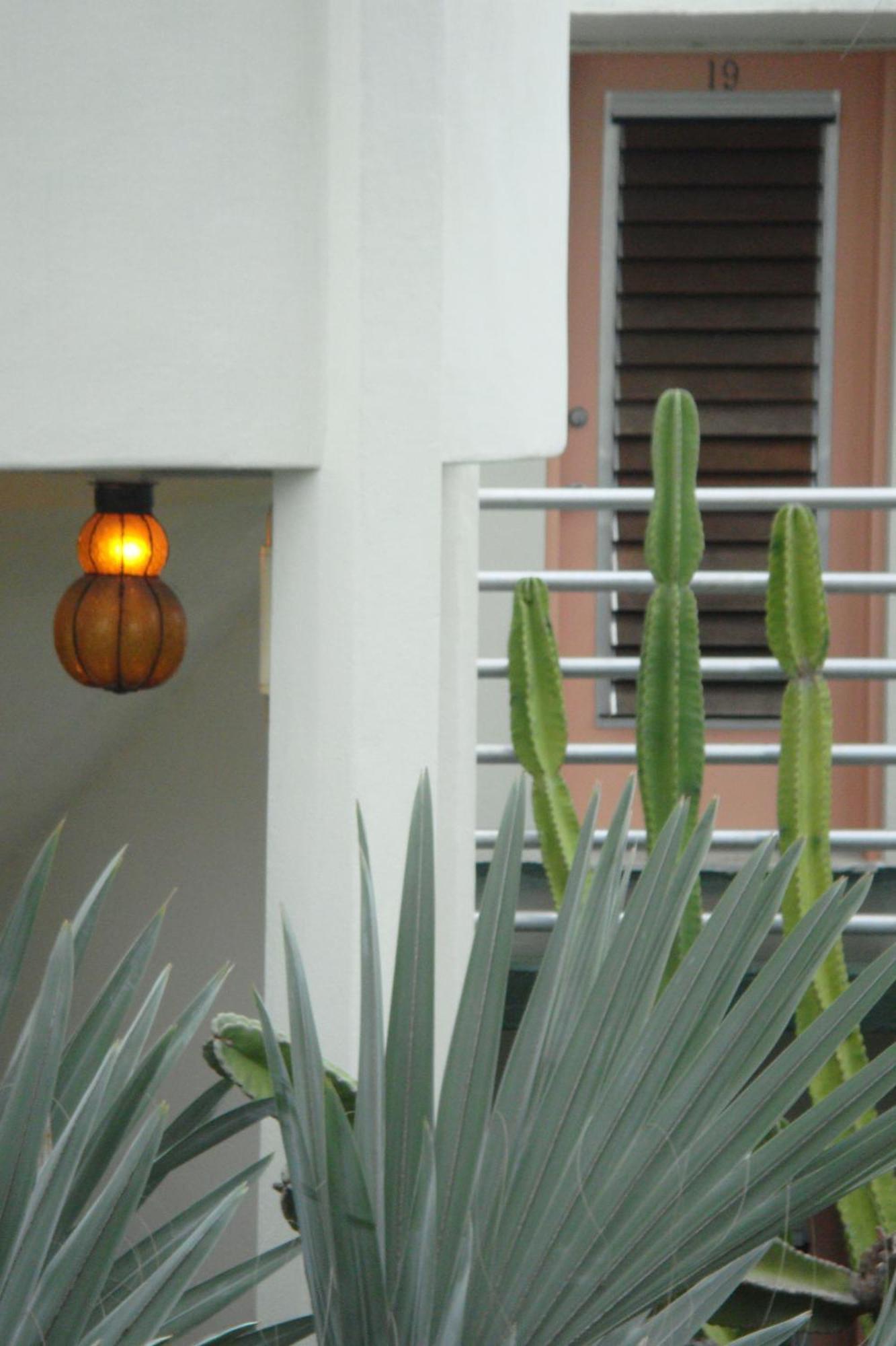 El Patio