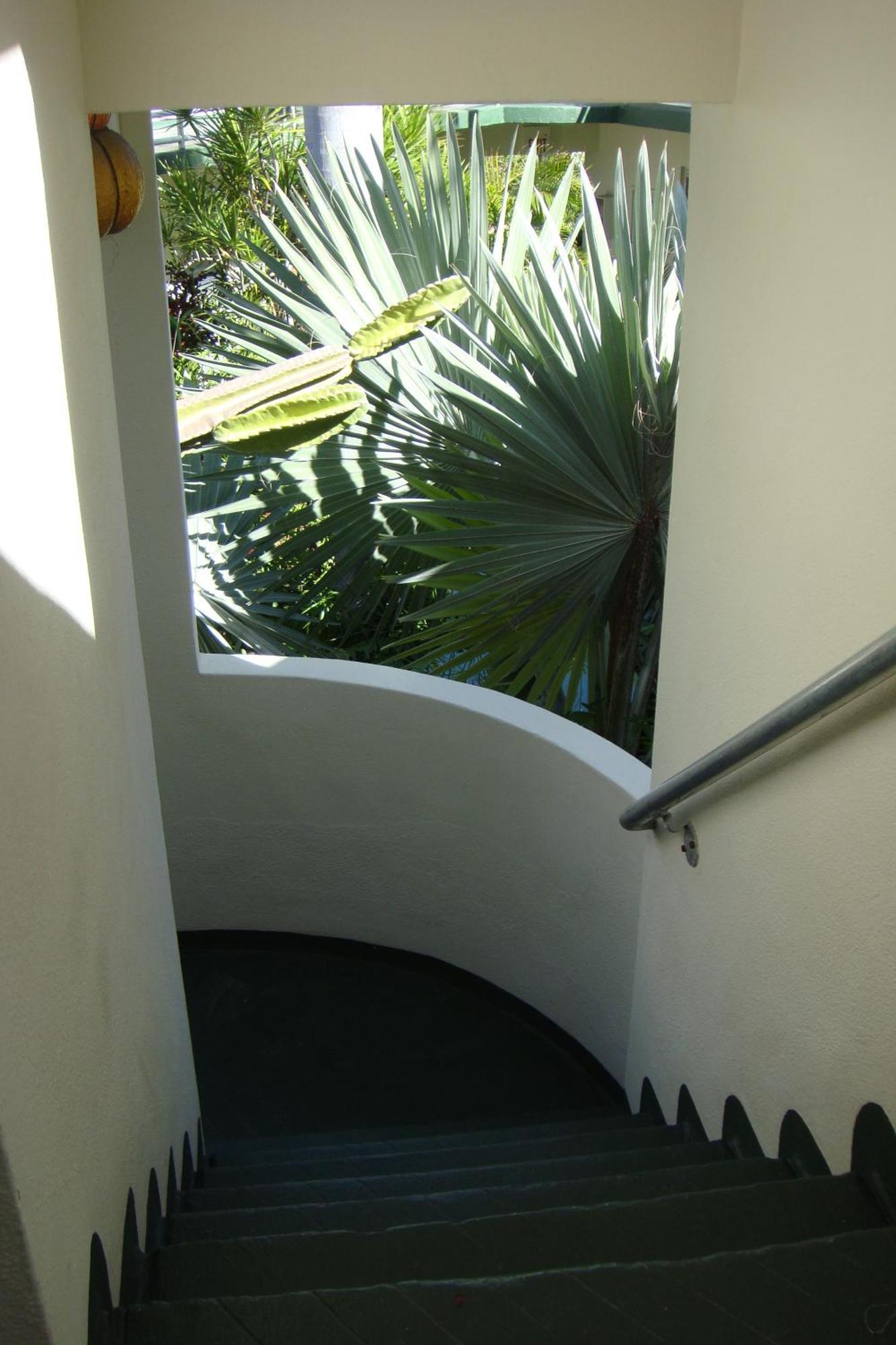 El Patio