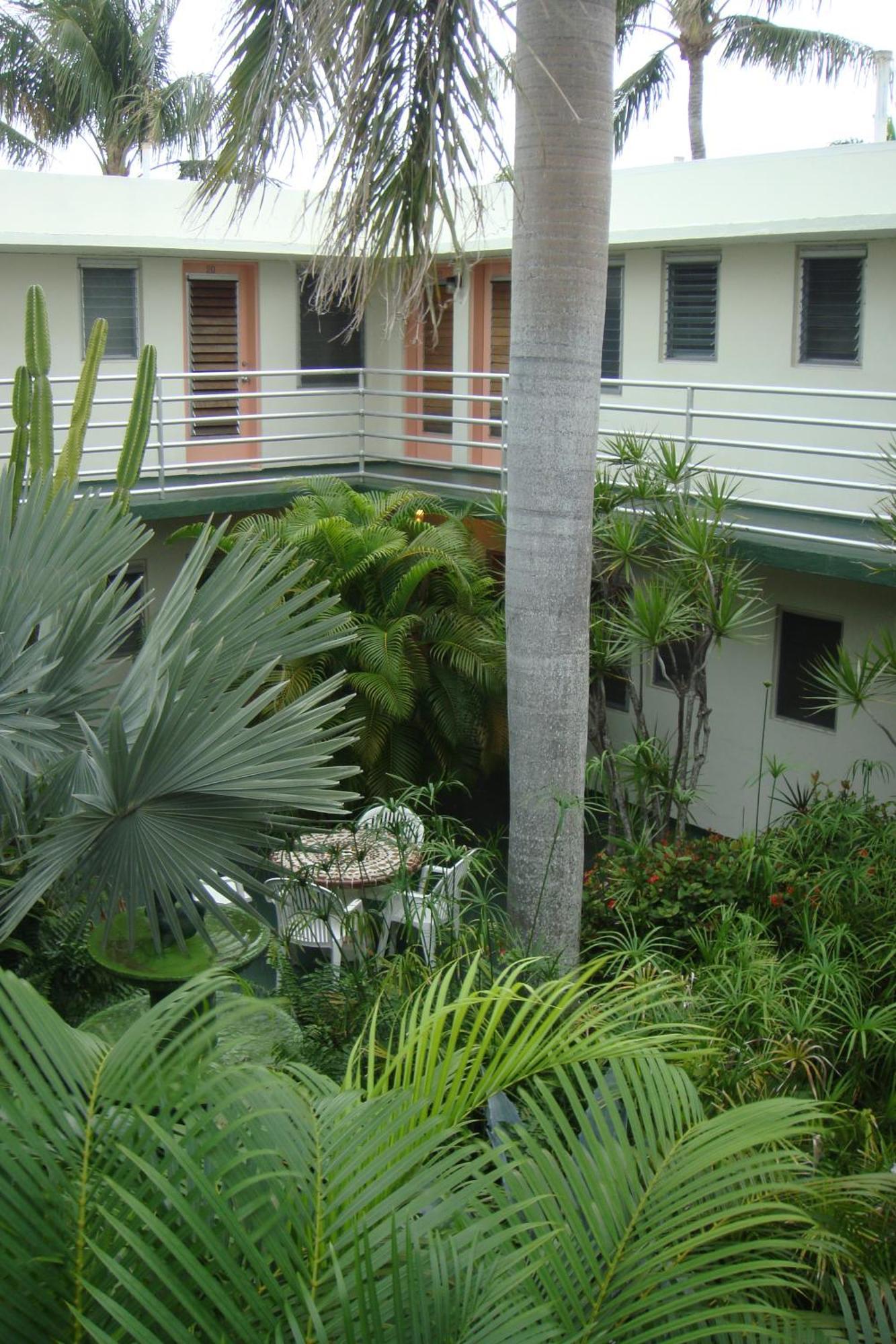 El Patio