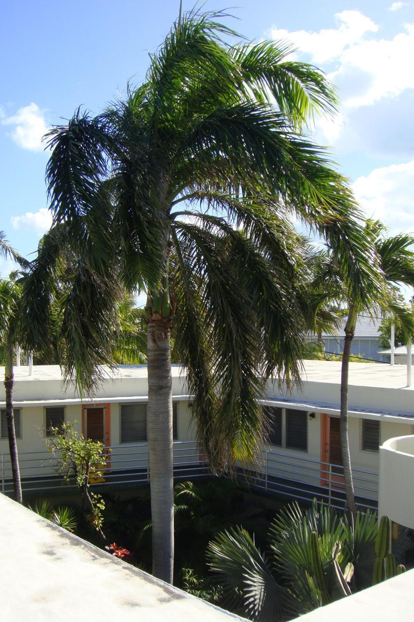 Motel El Patio
